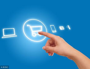 电子商务技术开发面临的制约因素